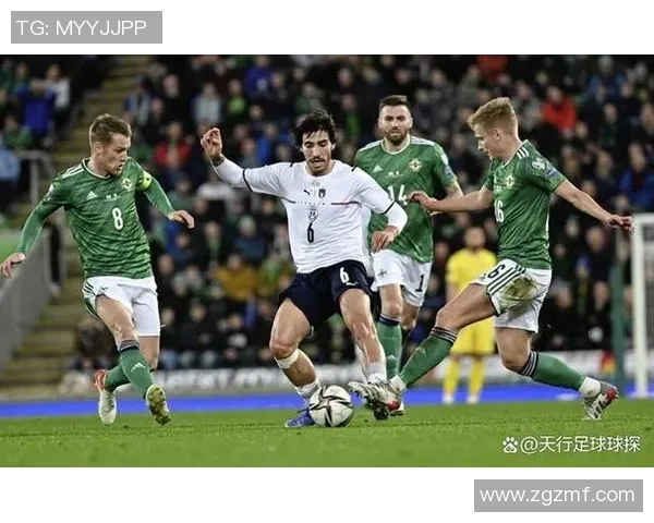 爱尔兰与丹麦对决谁能胜出分析比赛结果与关键因素