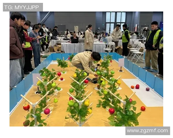 棉农与阿尔萨德的较量：一场关于农业与足球的精彩对决