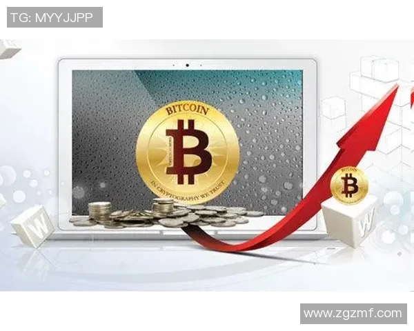 神秘人对抗风暴的深度解析与策略探讨