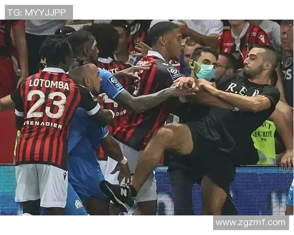 北京排球队节奏引发热议球迷与专家观点大碰撞MBA