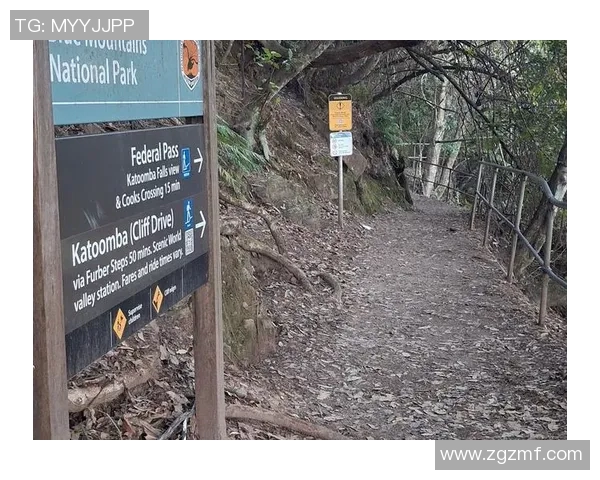 极限运动战术解析：广州极限运动队的全方位控制与管理体系探讨MBA