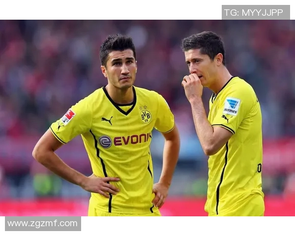 2014年多特蒙德与纽伦堡精彩对决全场录像回放分析