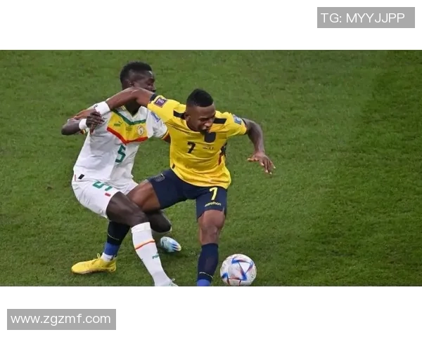 法国与塞内加尔全场激战回顾精彩瞬间与战术分析 法国与塞内加尔全场激战回顾精彩瞬间与战术分析