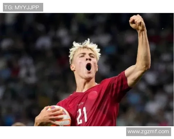 霍伊伦的传奇人生与音乐成就探秘之旅